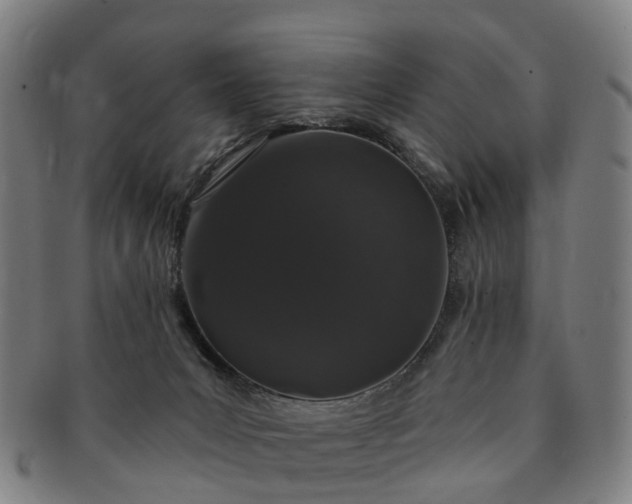 X0000091190031200708231518