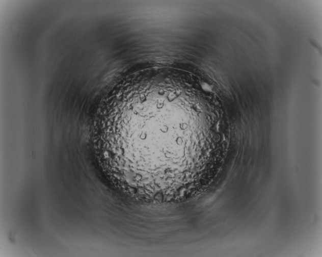 X0000091190032200708231518