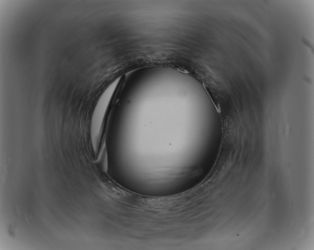 X0000091190033200708231518