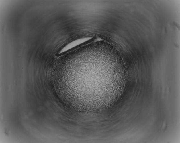 X0000091190034200708231518