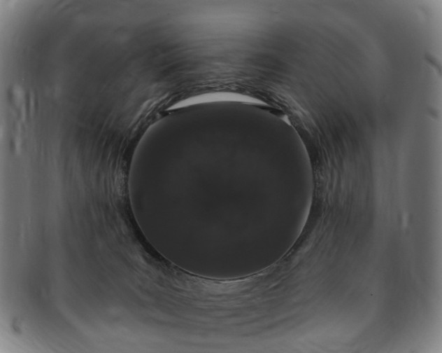 X0000091190035200708231518