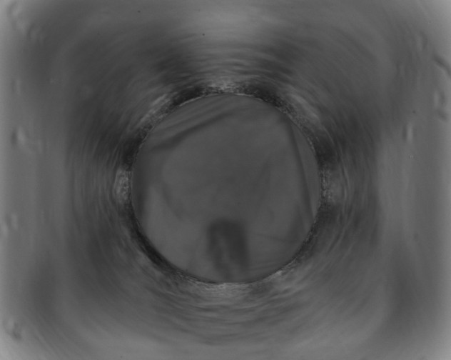 X0000091190036200708231518