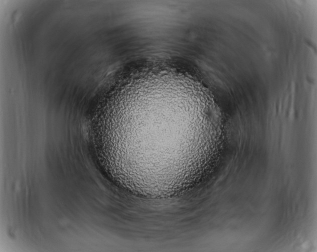 X0000091190038200708231518