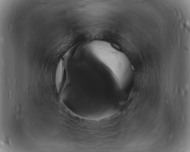 X0000091190039200708231518