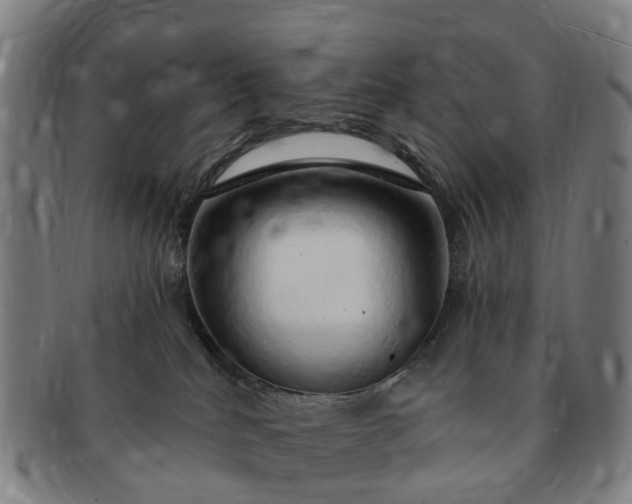 X0000091190040200708231518