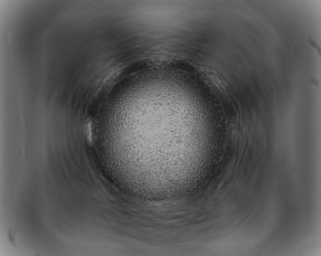 X0000091190042200708231518