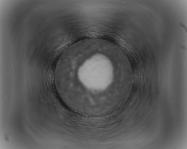 X0000091190043200708231518