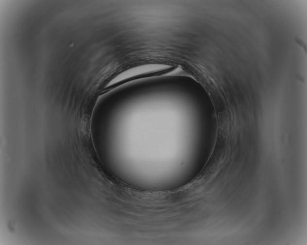 X0000091190044200708231518