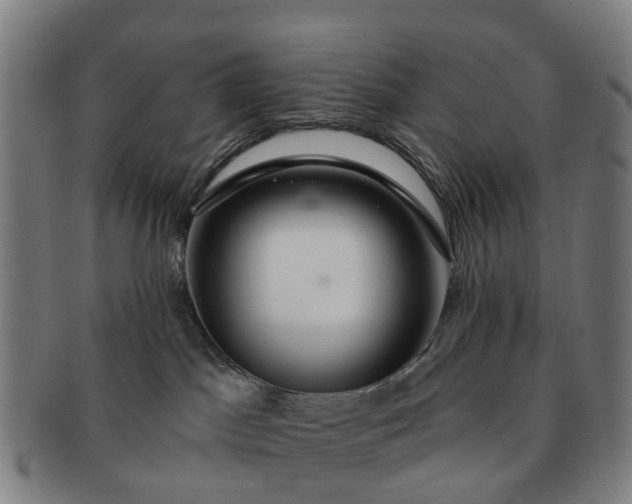 X0000091190045200708231518