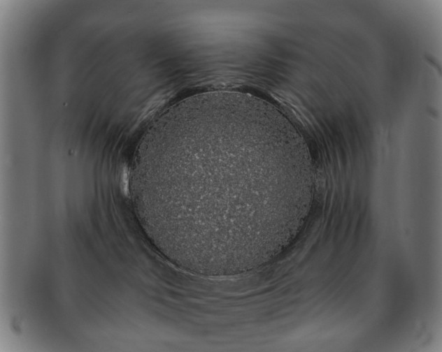 X0000091190046200708231518