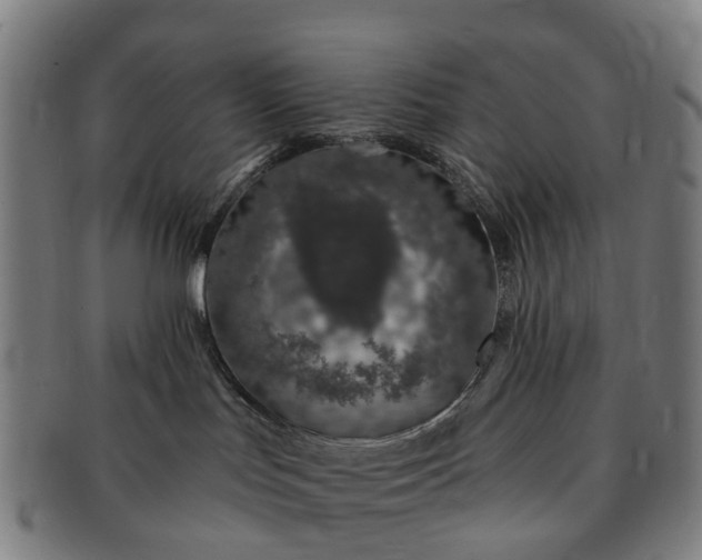 X0000091190047200708231518