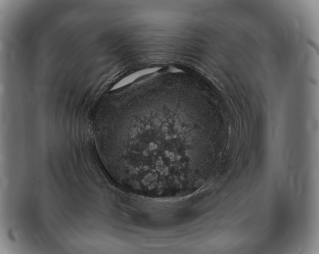 X0000091190048200708231518