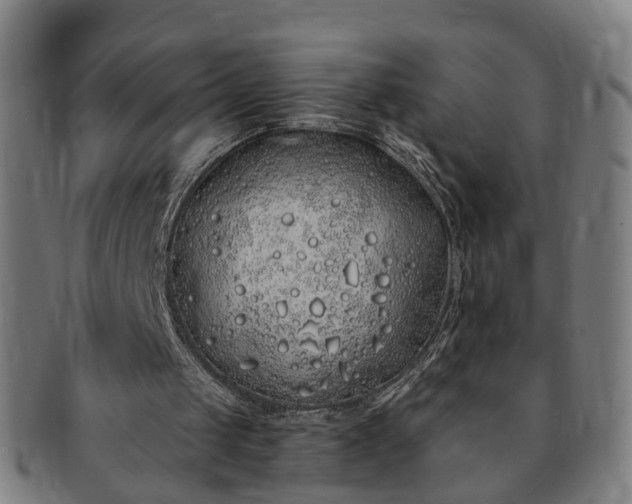 X0000091190049200708231517