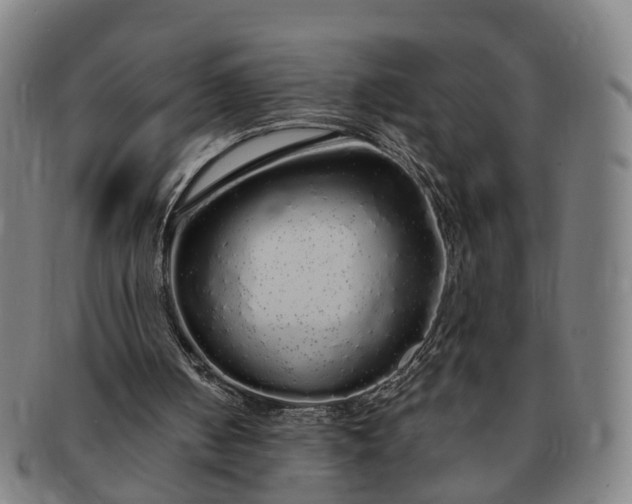 X0000091190050200708231517