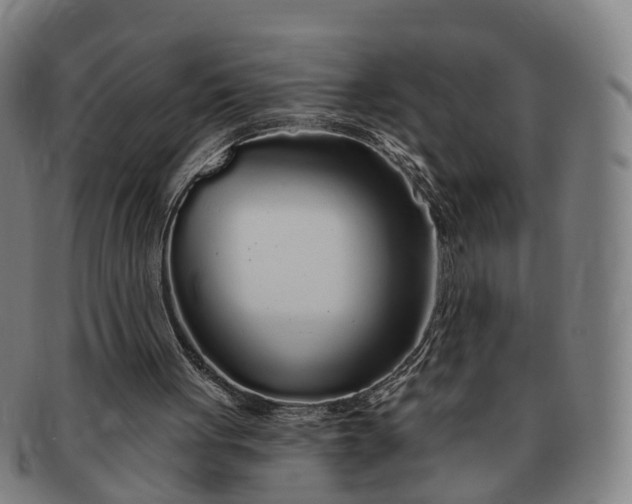 X0000091190051200708231517