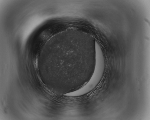 X0000091190052200708231517