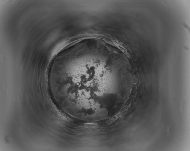 X0000091190053200708231517