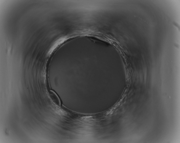 X0000091190054200708231517