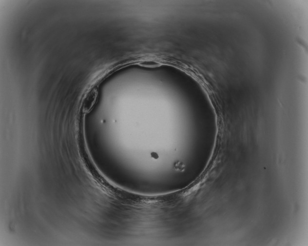 X0000091190055200708231517