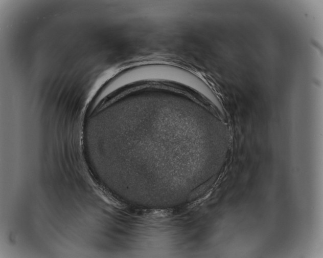 X0000091190056200708231517