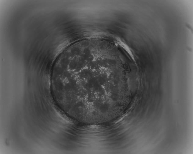 X0000091190059200708231517