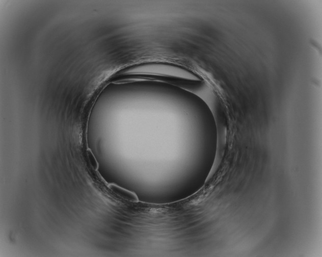 X0000091190060200708231517