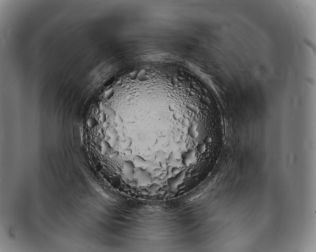 X0000091190061200708231517