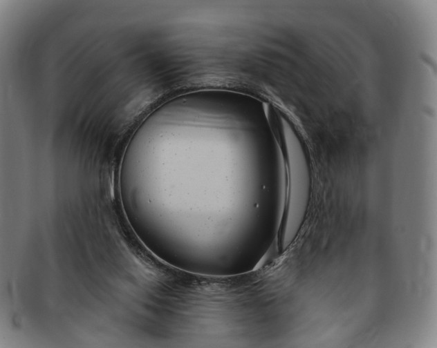 X0000091190062200708231517