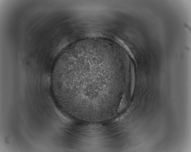 X0000091190063200708231517