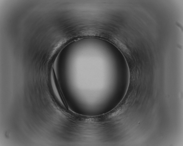 X0000091190064200708231517