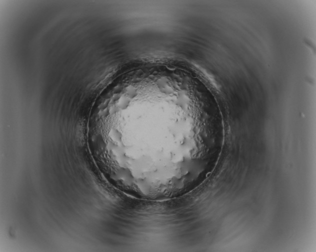 X0000091190065200708231517