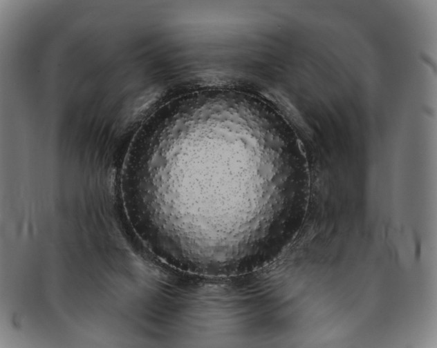 X0000091190066200708231517