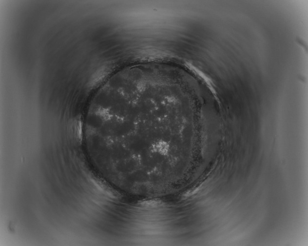 X0000091190067200708231517