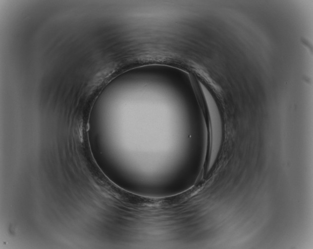 X0000091190068200708231517