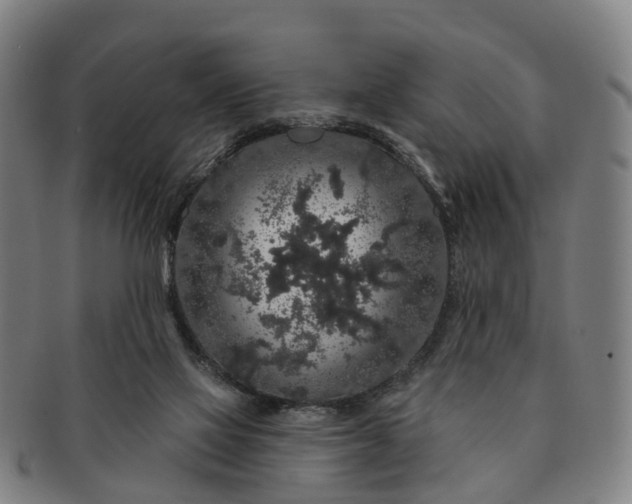 X0000091190069200708231517