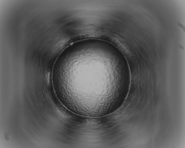 X0000091190070200708231517