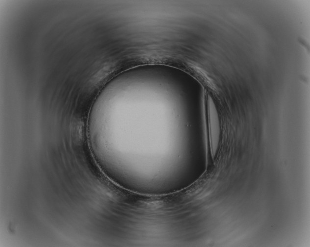 X0000091190071200708231517