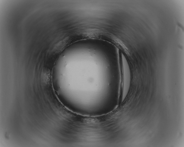 X0000091190073200708231517