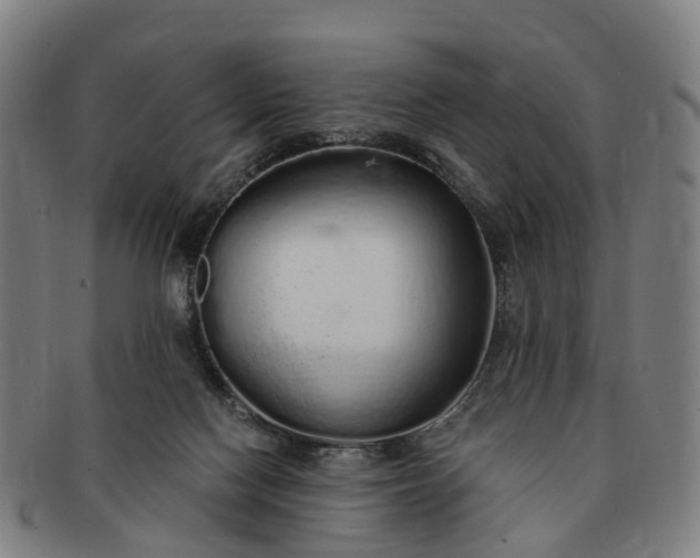 X0000091190074200708231517