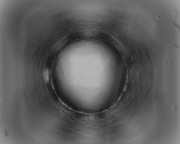 X0000091190075200708231517