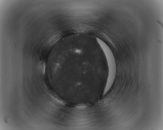 X0000091190076200708231517