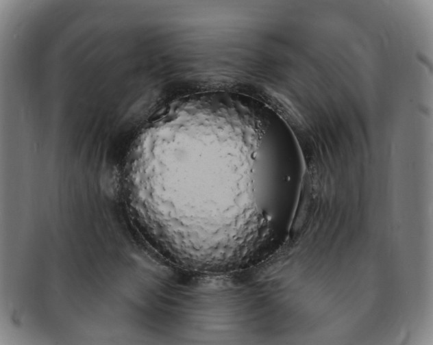 X0000091190077200708231518