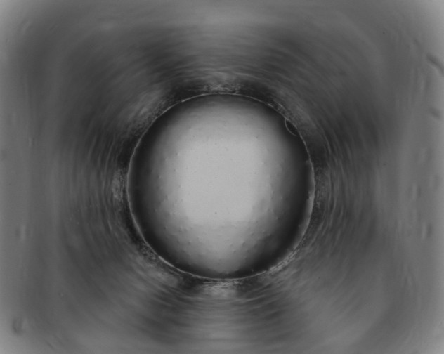 X0000091190078200708231518