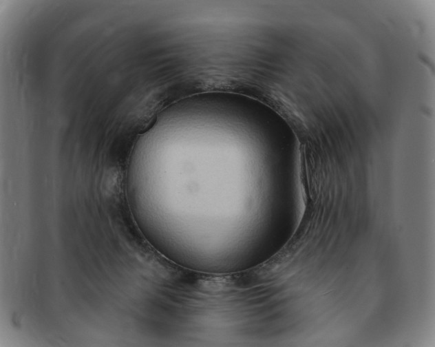 X0000091190079200708231518