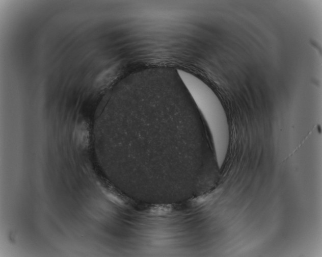 X0000091190080200708231518