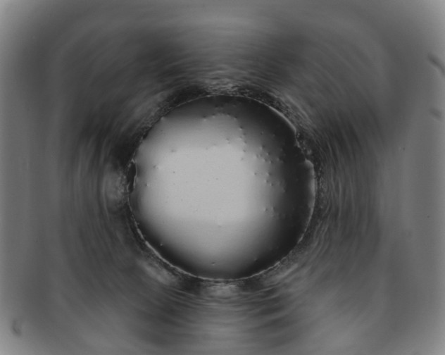 X0000091190081200708231518