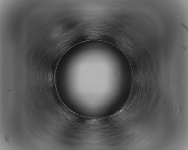 X0000091190082200708231518