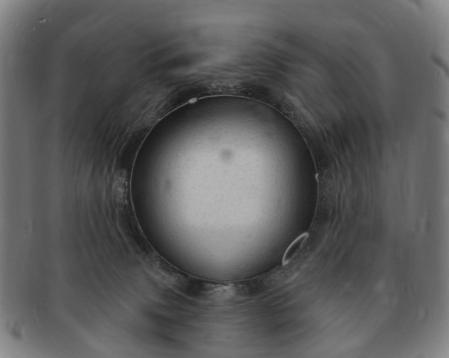 X0000091190083200708231518