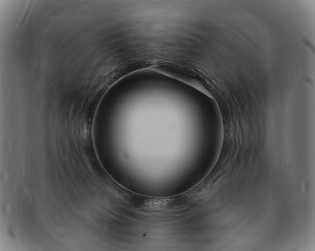 X0000091190084200708231518