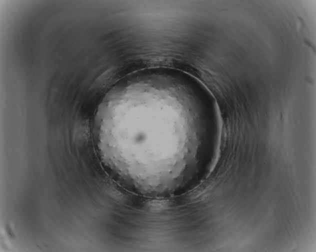 X0000091190085200708231518